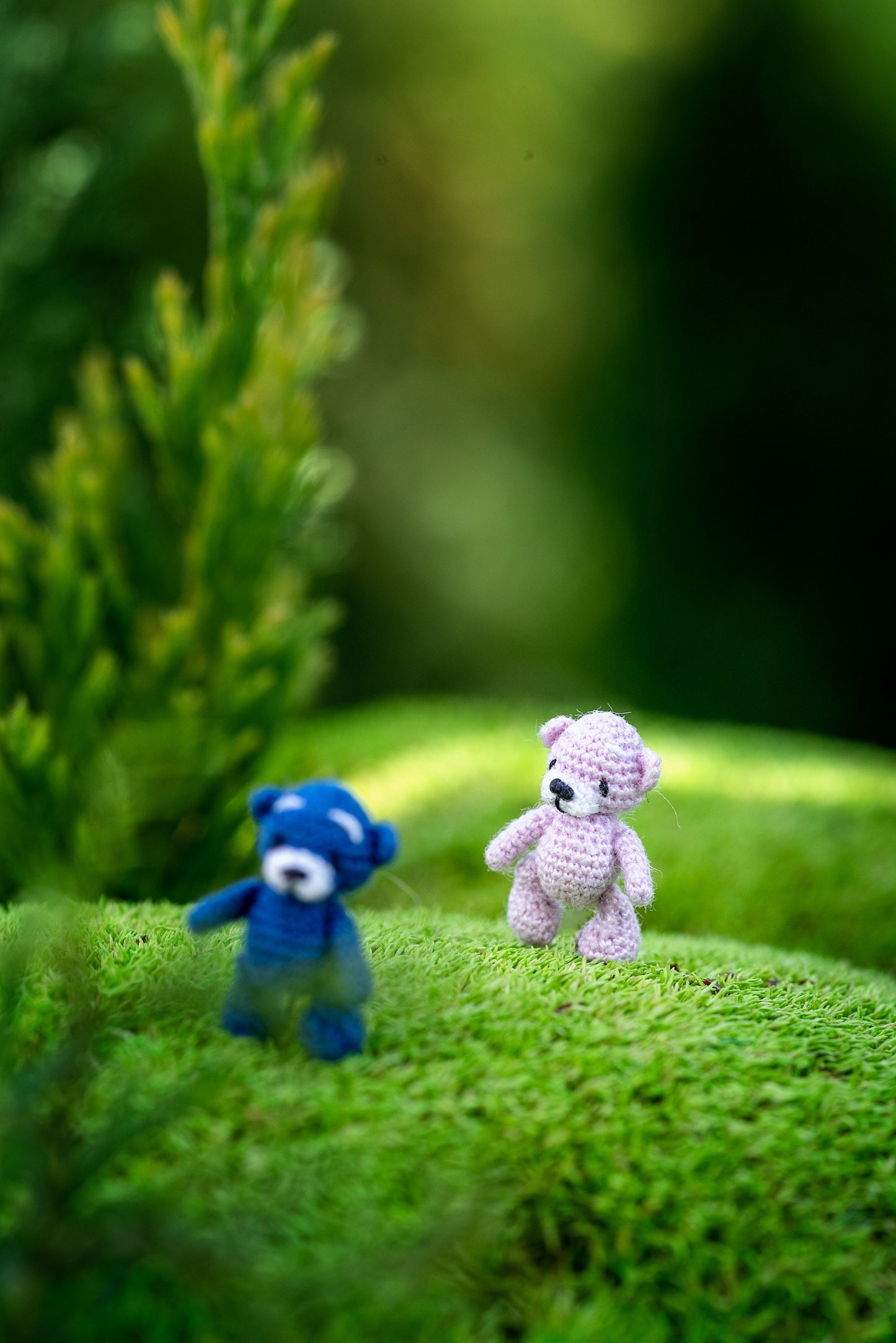 Two small teddy bears, one blue and one pink, standing on green grass with a blurred natural background.