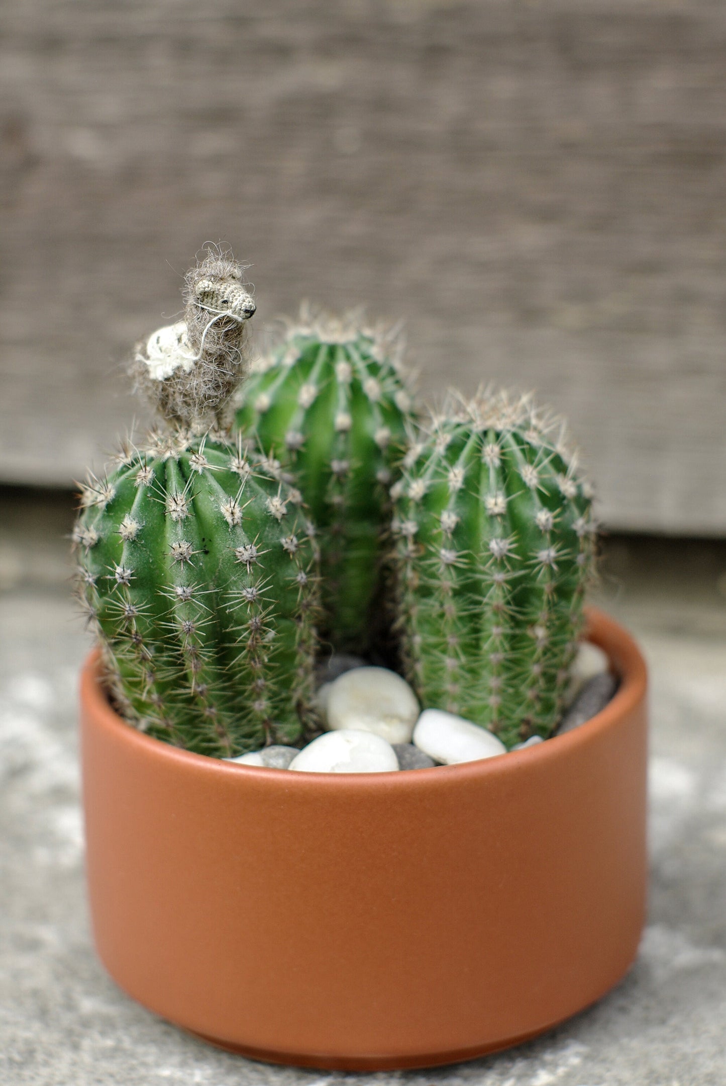 Miniature Crochet Llama