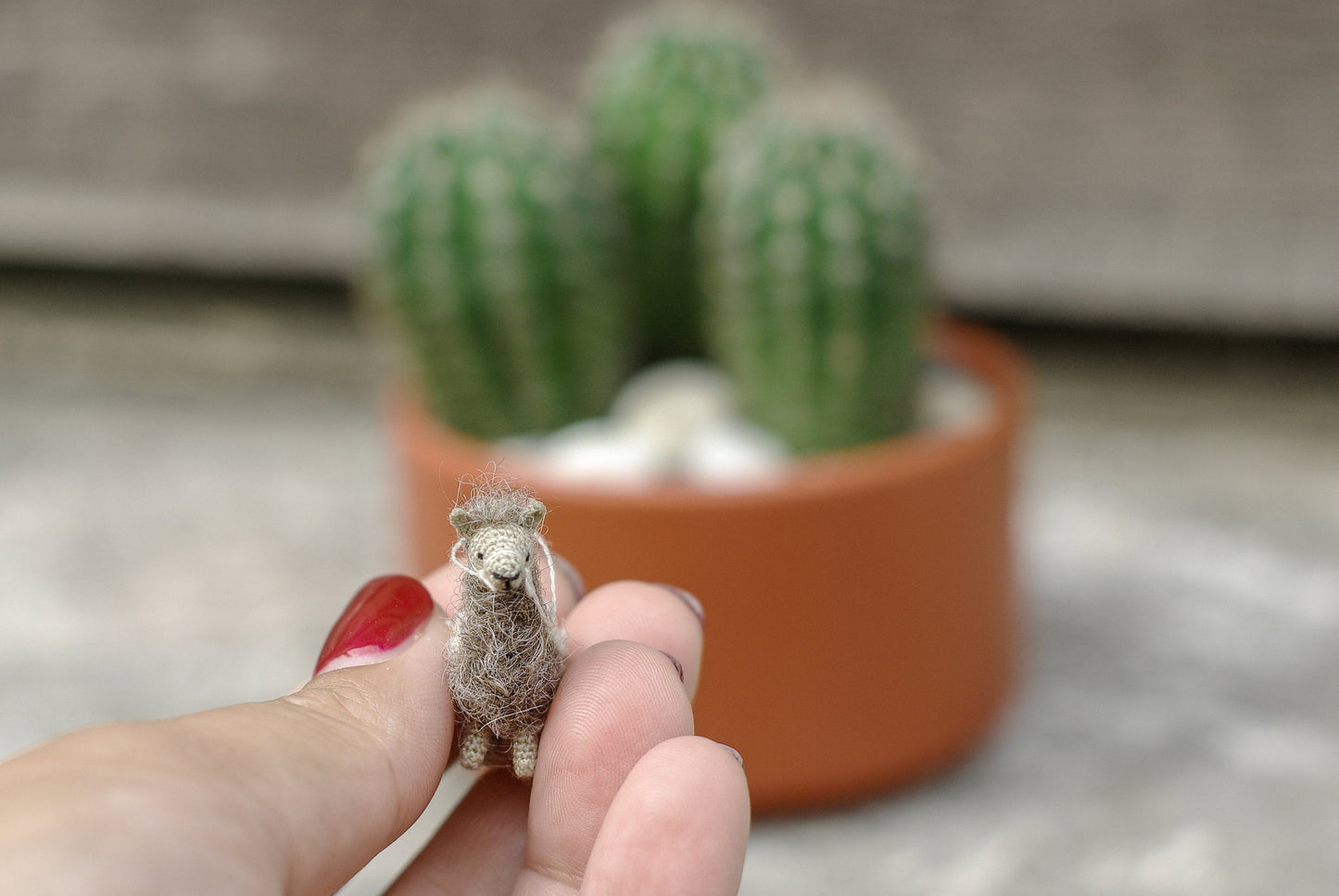 Tiny alpaca toy beside earth-tone bracelet and wooden decor