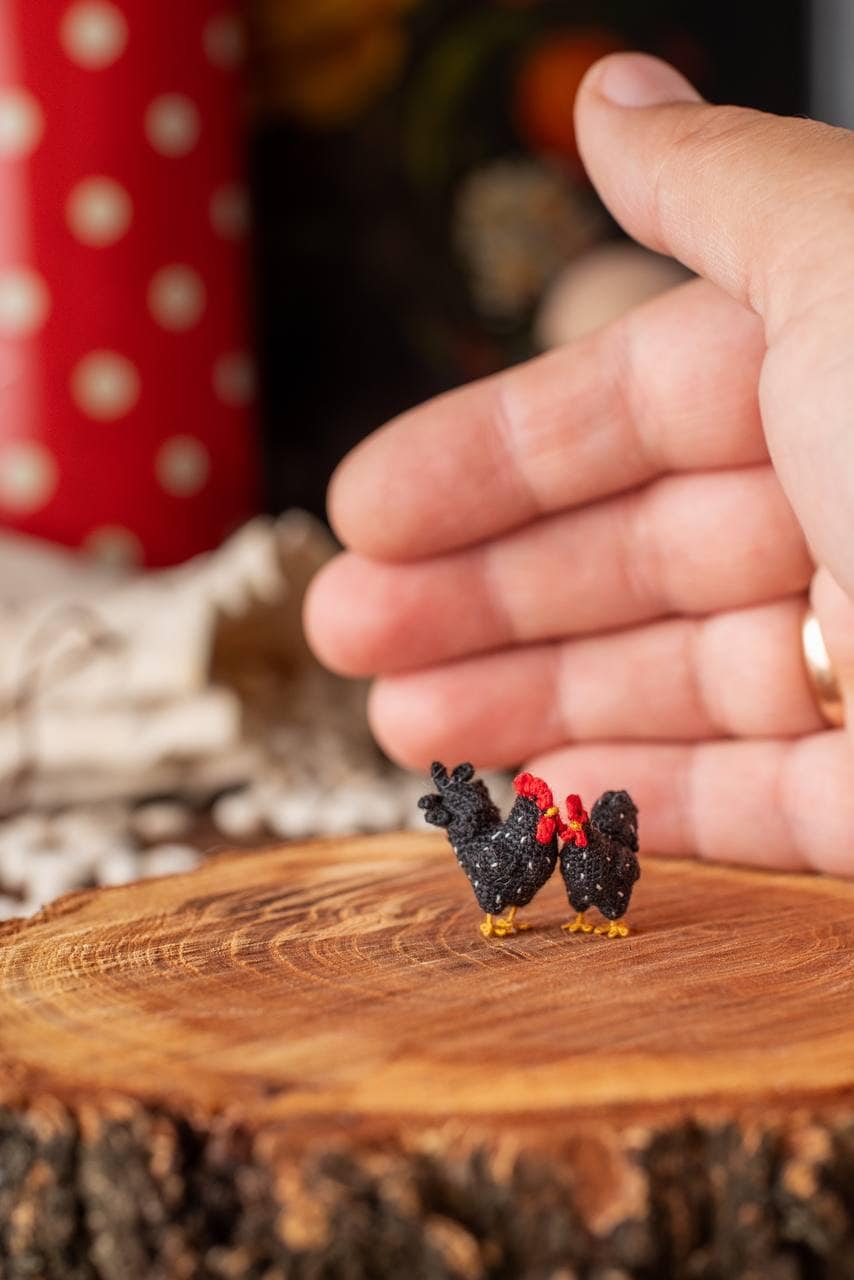 Miniature amigurumi hen and rooster in black yarn, posed with beans and eggs