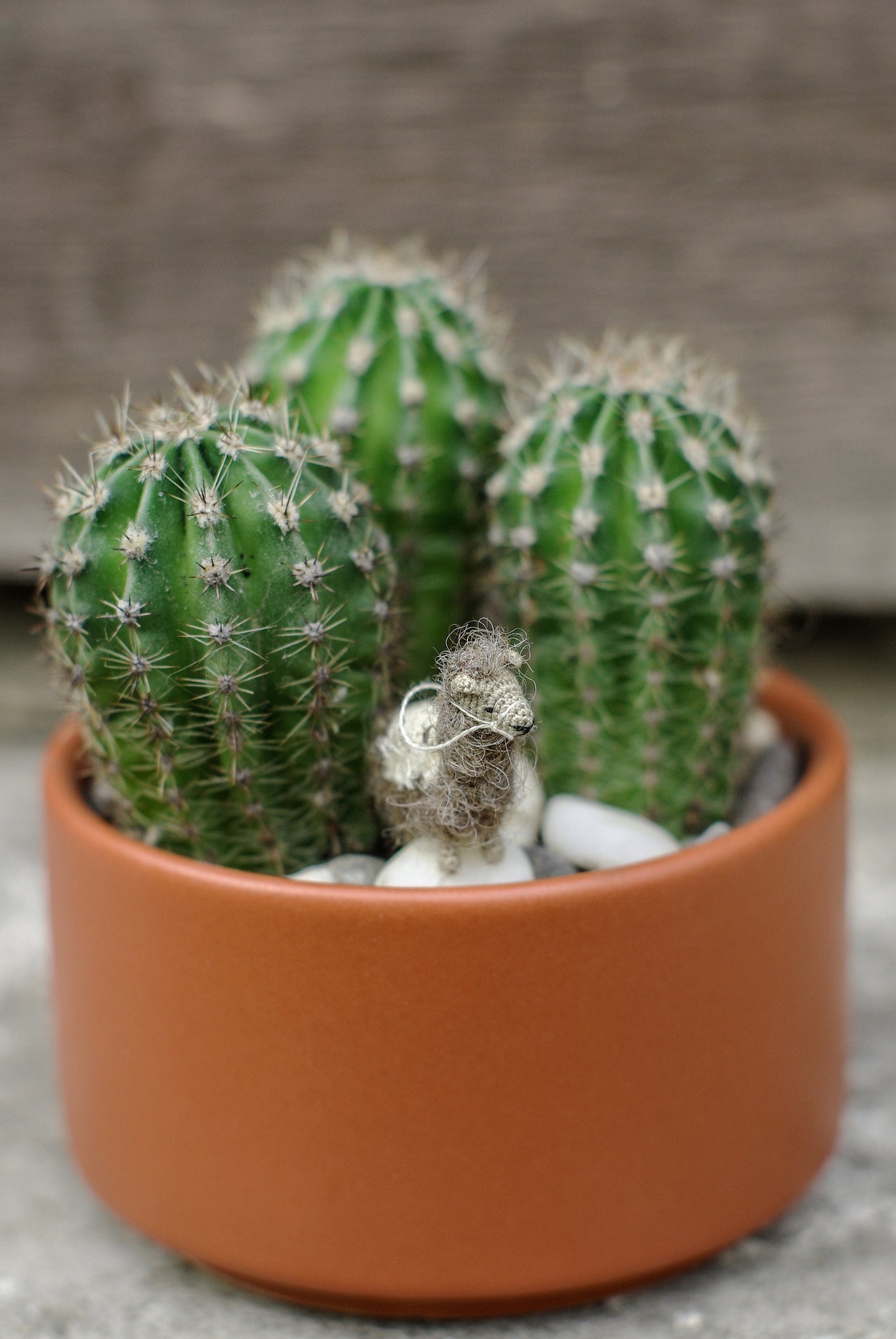 Miniature Crochet Llama