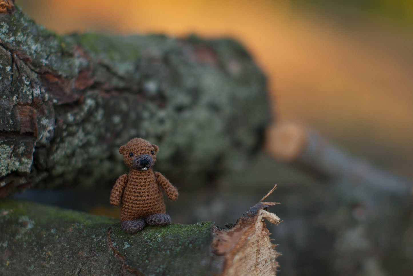 Miniature amigurumi forest beaver sitting in mossy scenery