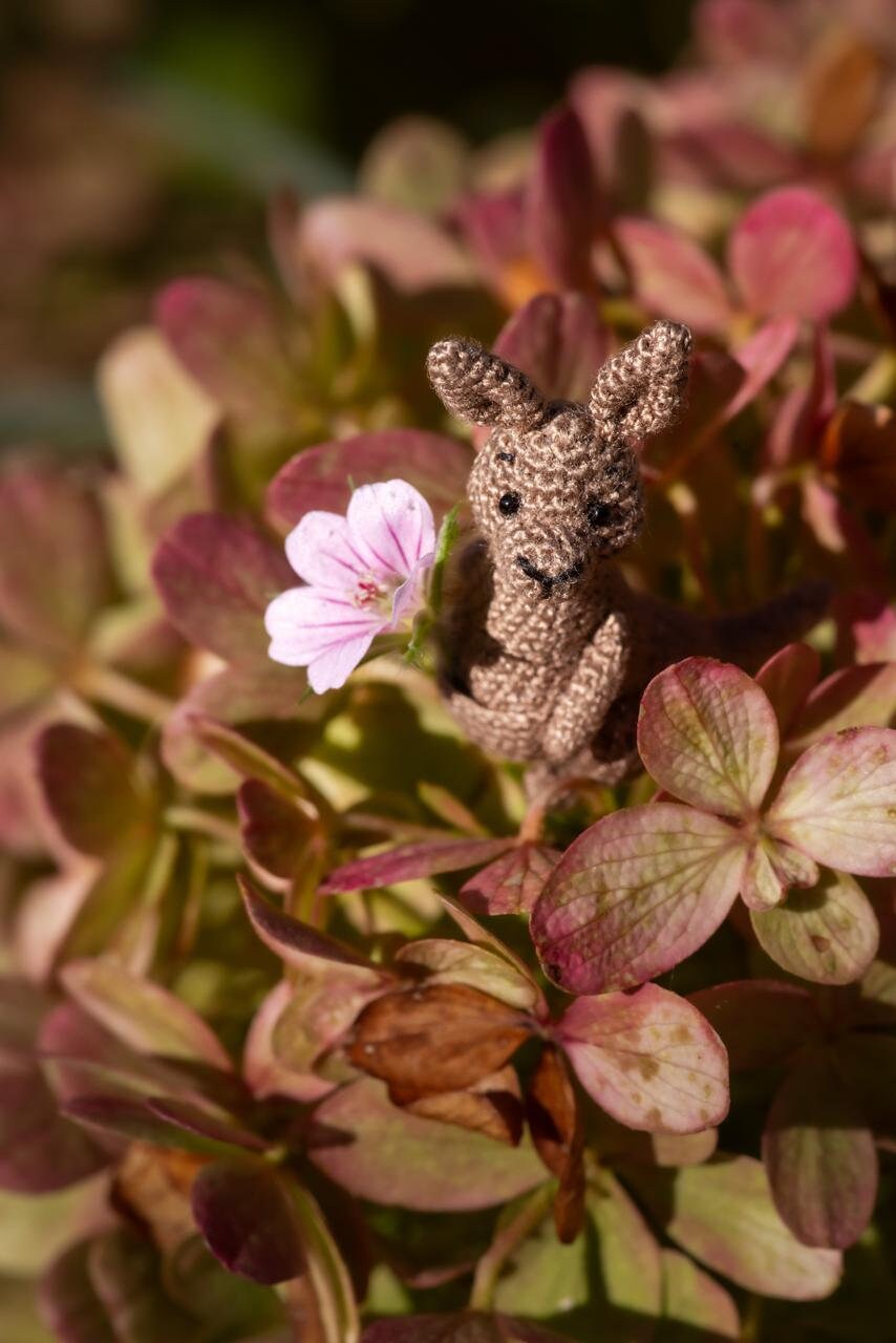 Brown crochet marsupial on stone background