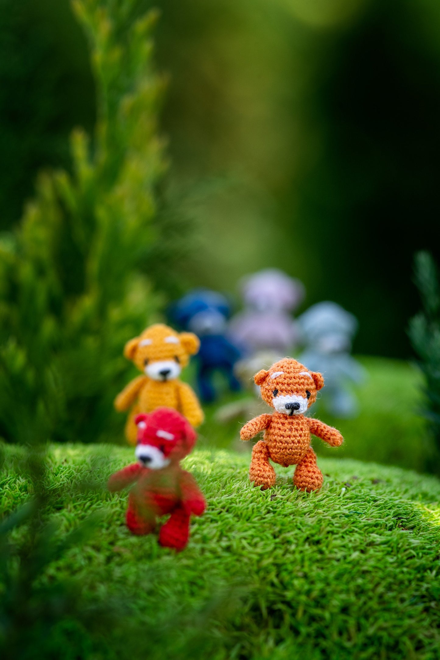 TaleWorld teddy bear collection in natural setting