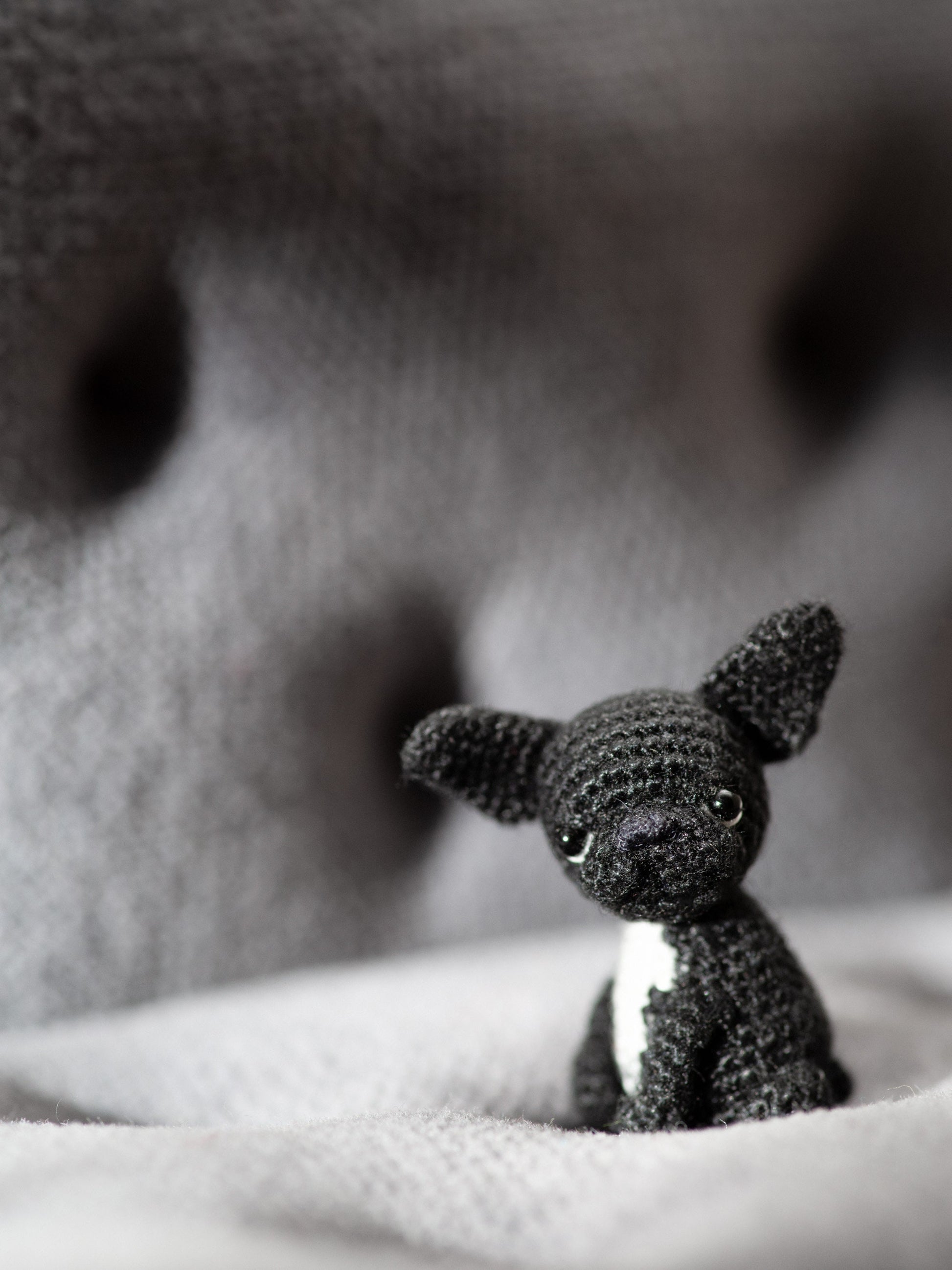 Miniature amigurumi dog with upright ears and white patch