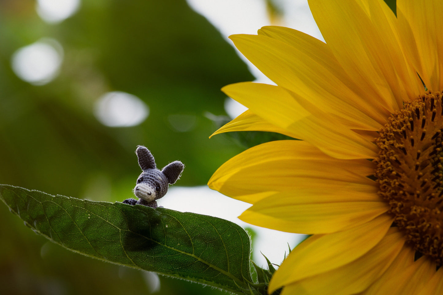 tiny grey donkey figurine in walnut shell for collectors