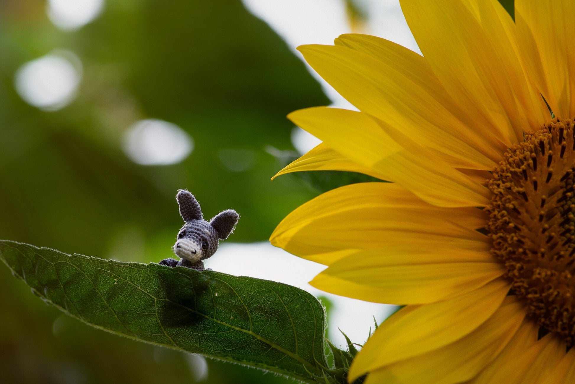 tiny grey donkey figurine in walnut shell for collectors