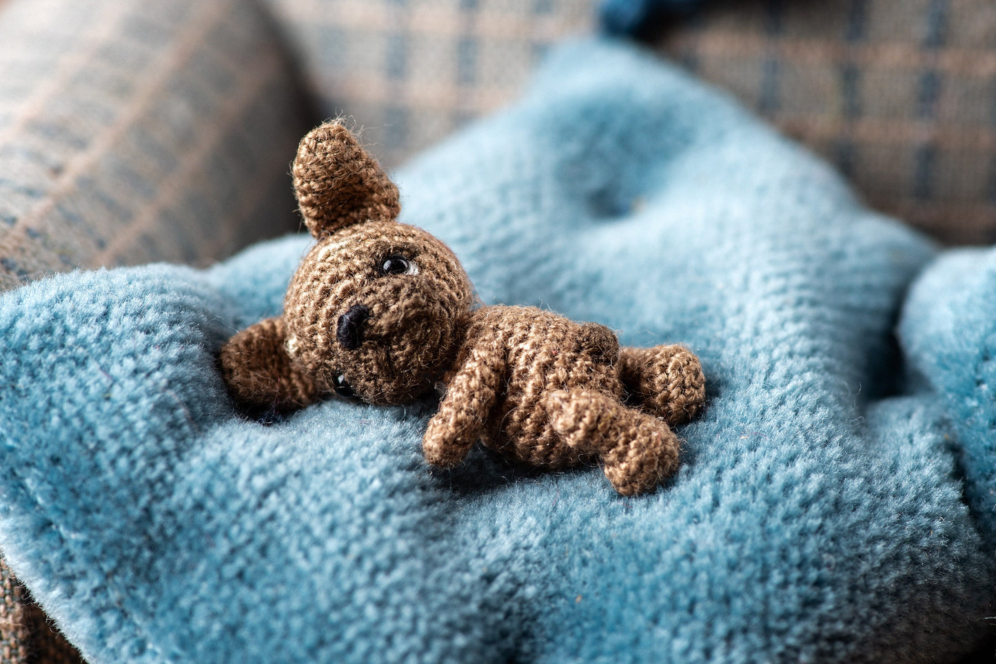 Tiny crochet French bulldog sitting on a blue cushion