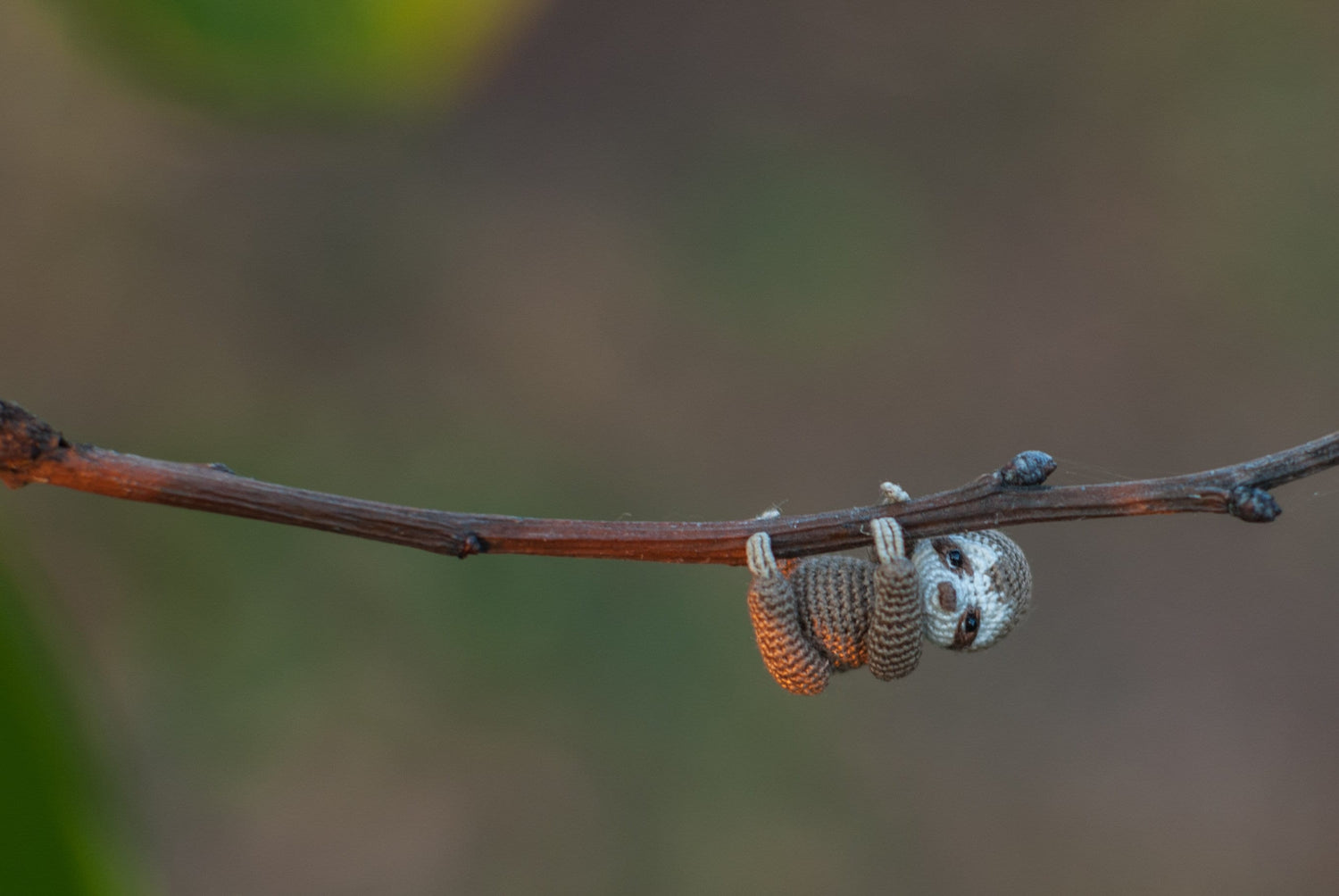 Miniature crochet sloth hanging from a branch in warm light