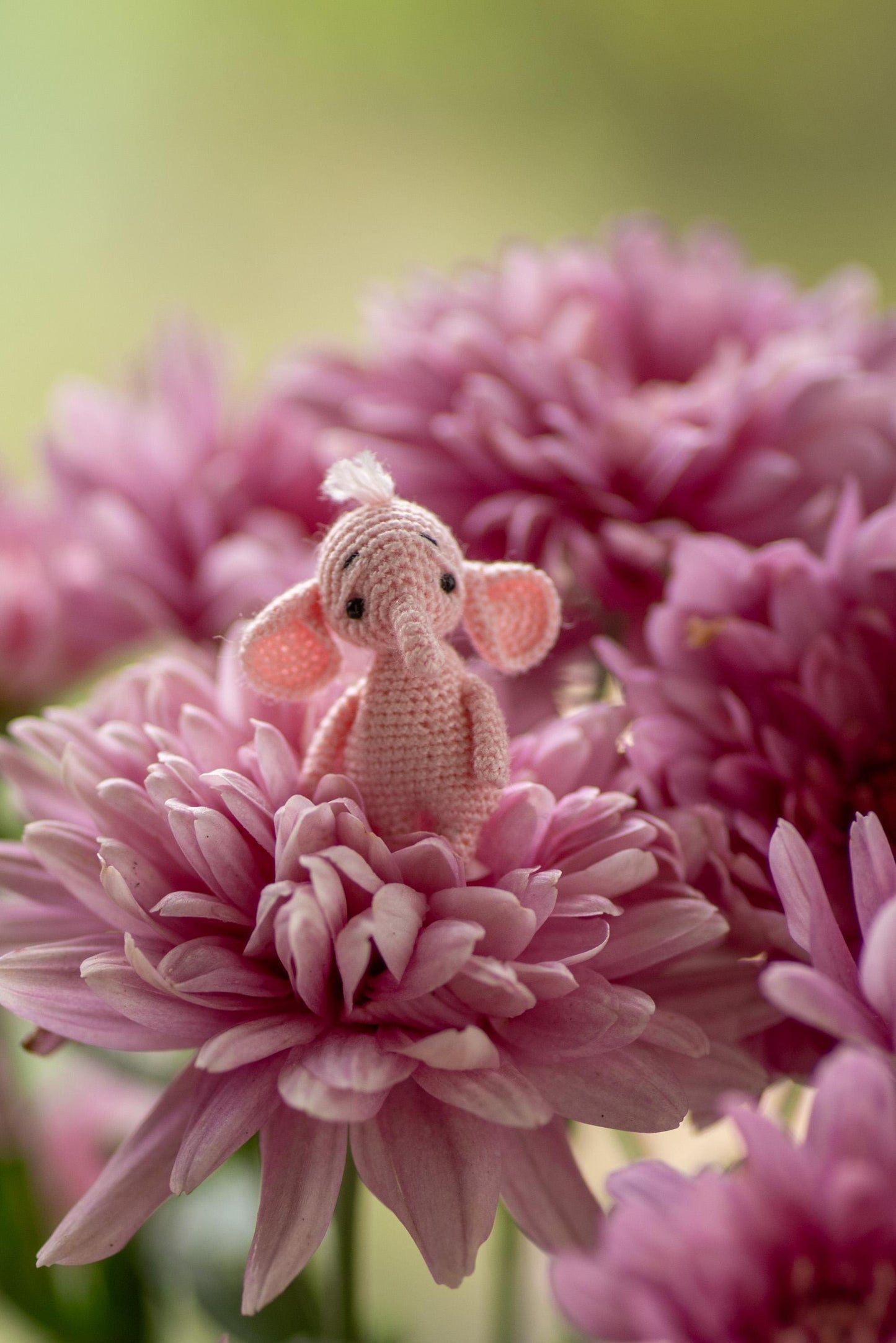 Miniature amigurumi pastel elephant in candy setting