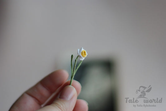 Miniature flower daffodil
