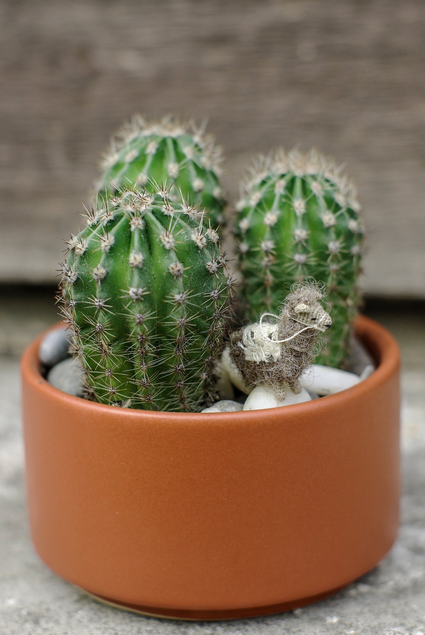 Handmade llama figurine with curly wool and stitched features