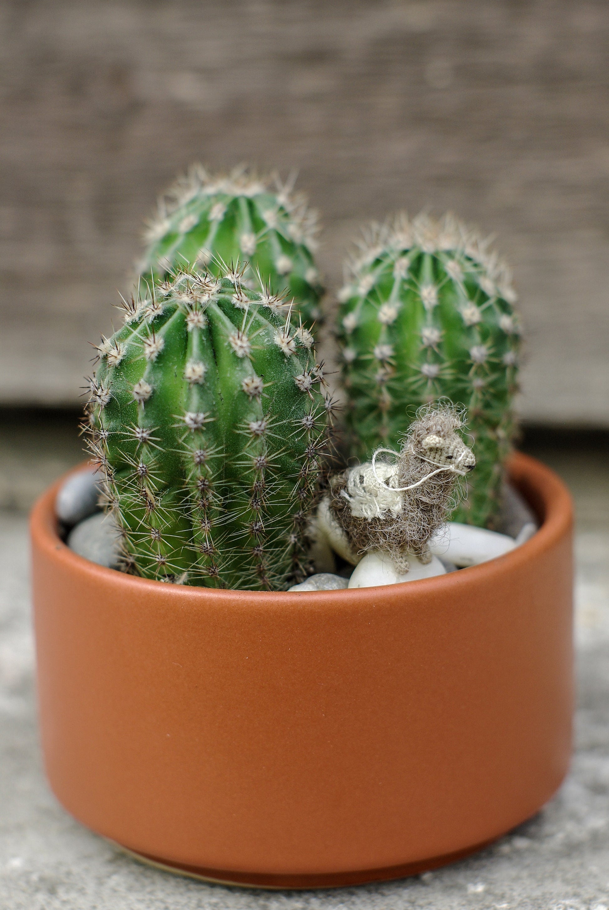 Handmade llama figurine with curly wool and stitched features
