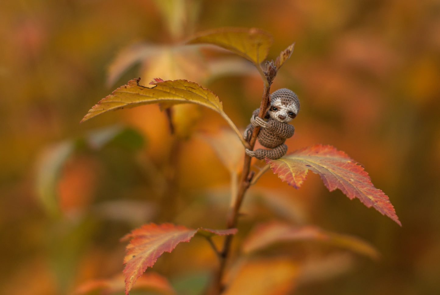 Tiny handmade sloth with brown body and soft white face