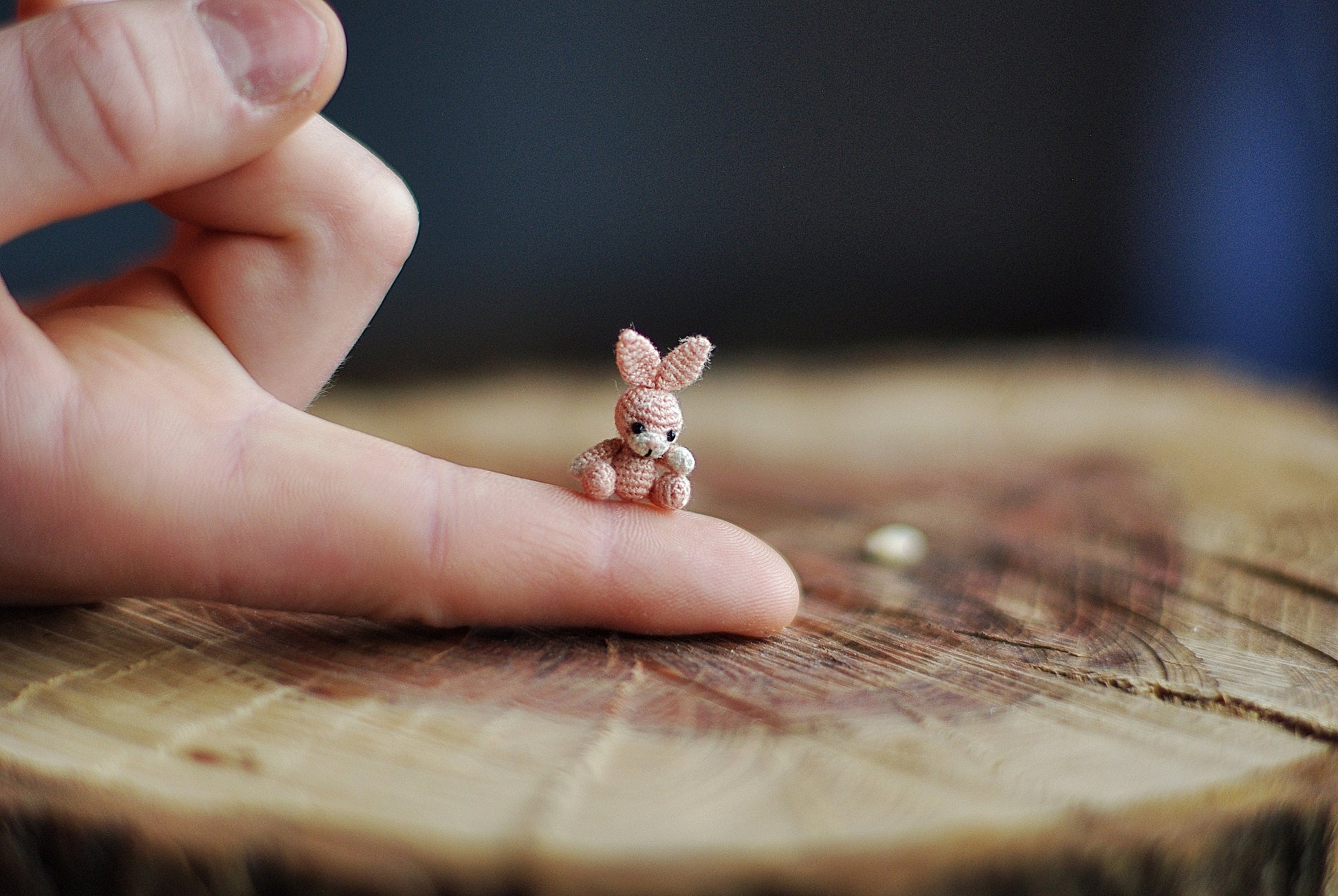 TaleWorld pink bunny next to tiny seeds