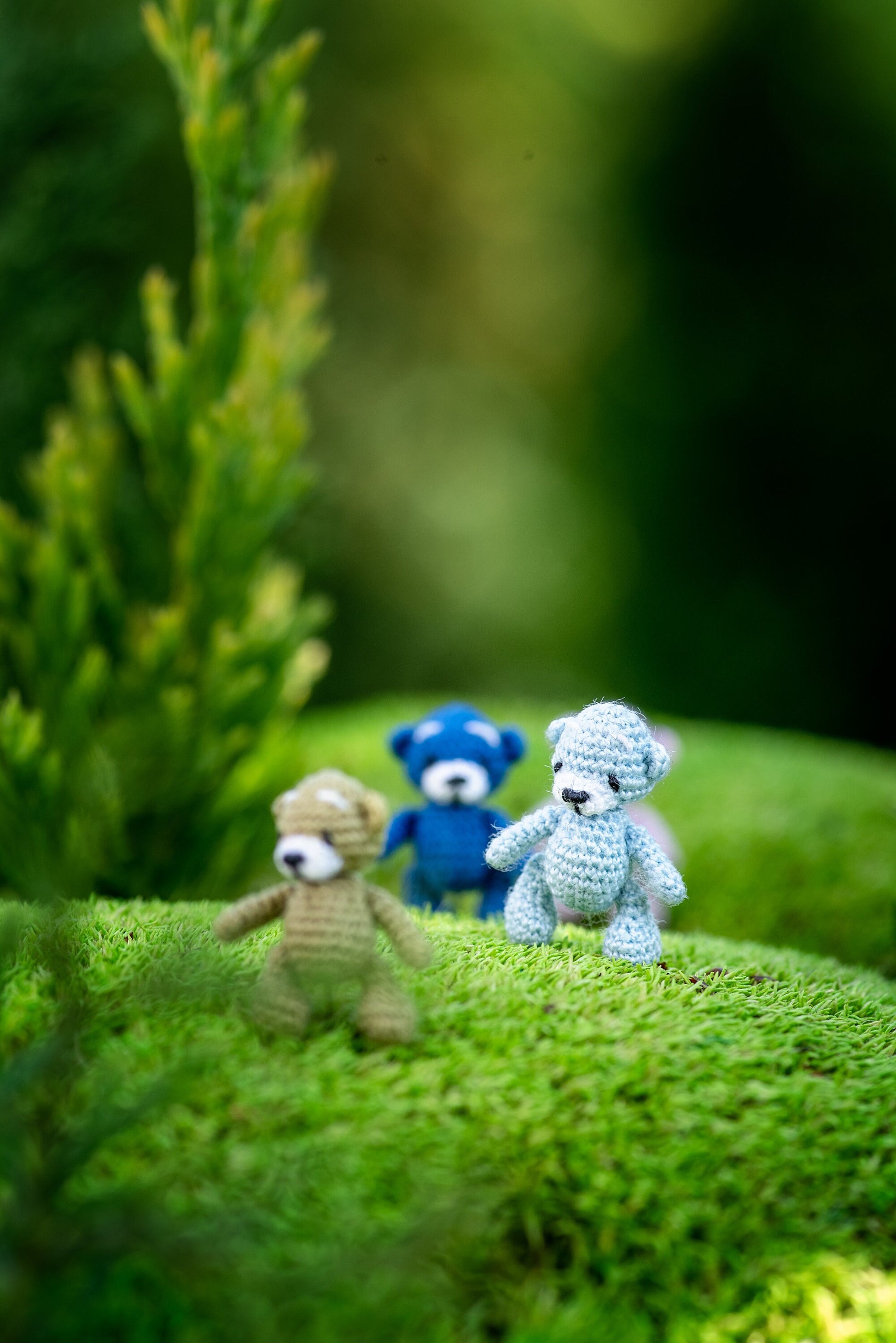 Three small teddy bears on a grassy area with a blurred natural background