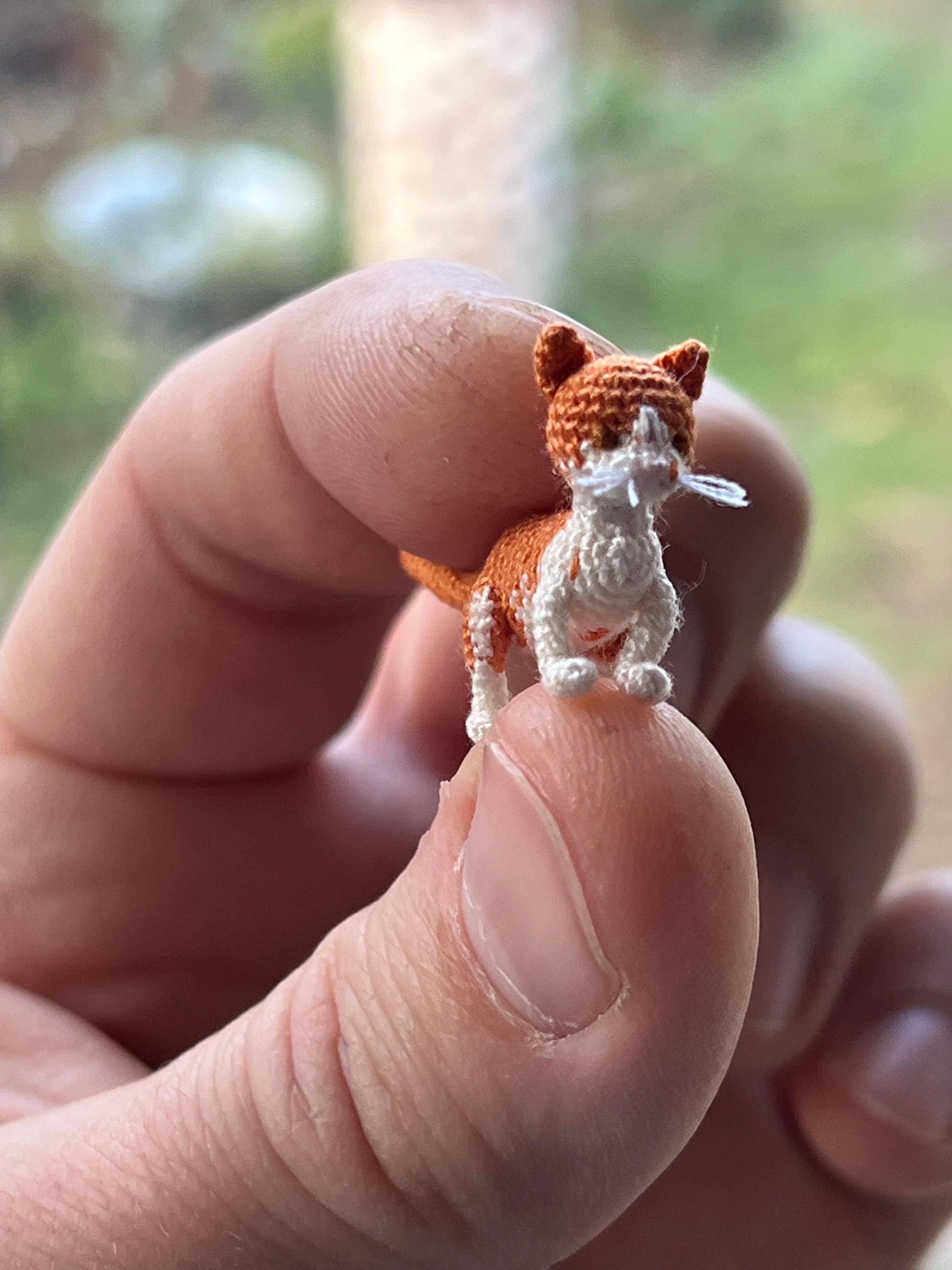 TaleWorld kitty with curious pose and soft details