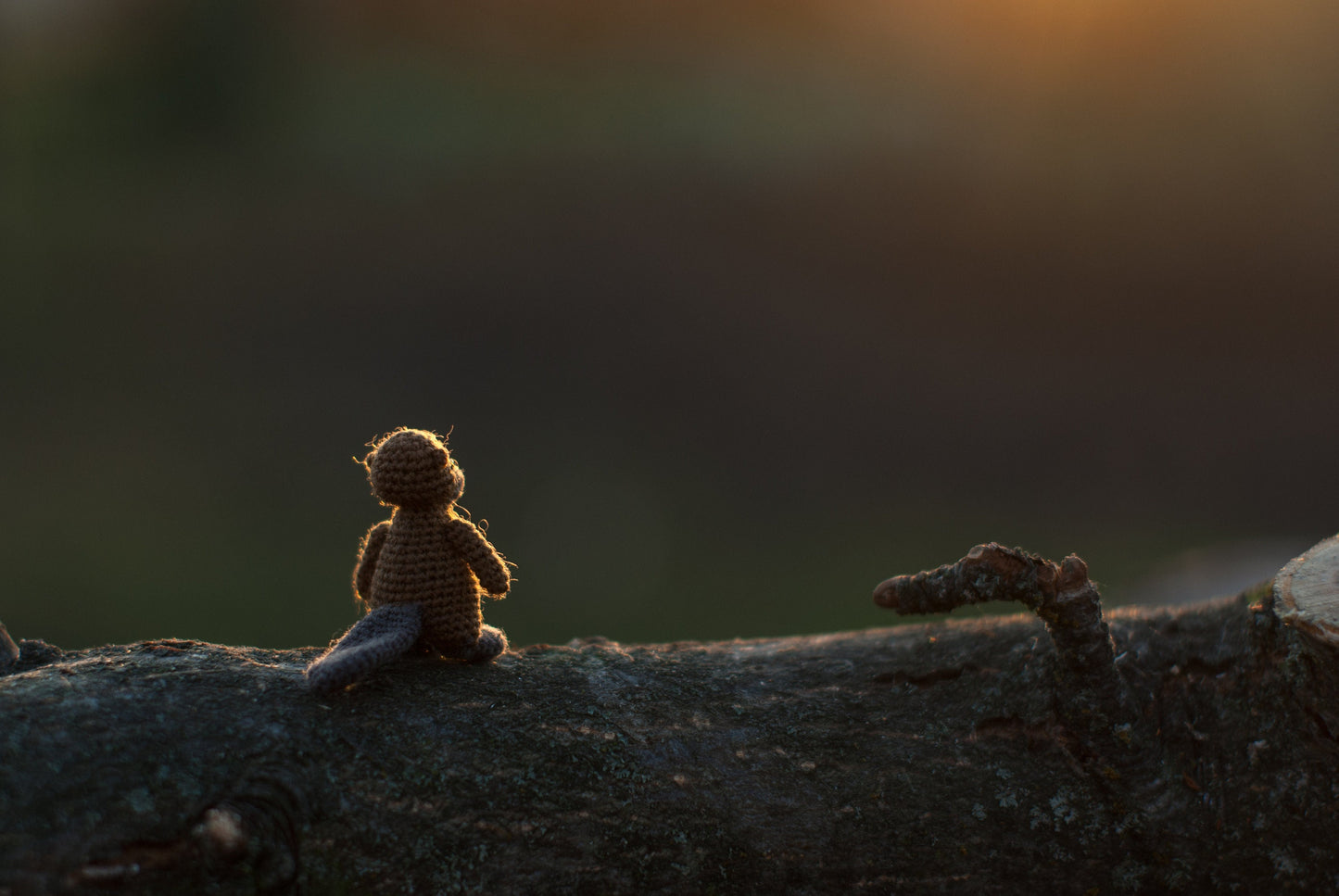 Handmade crochet beaver with cotton thread