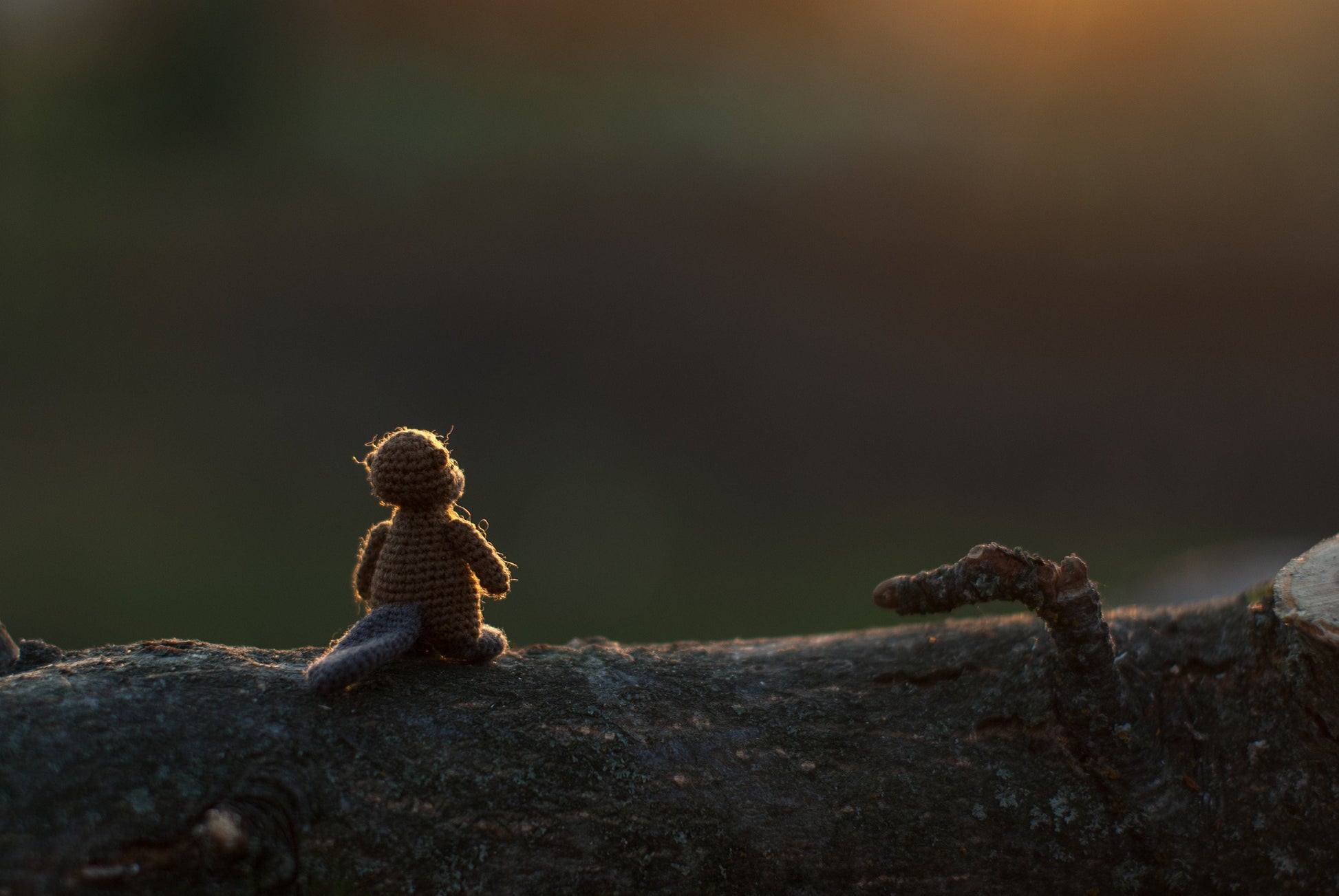 Handmade crochet beaver with cotton thread