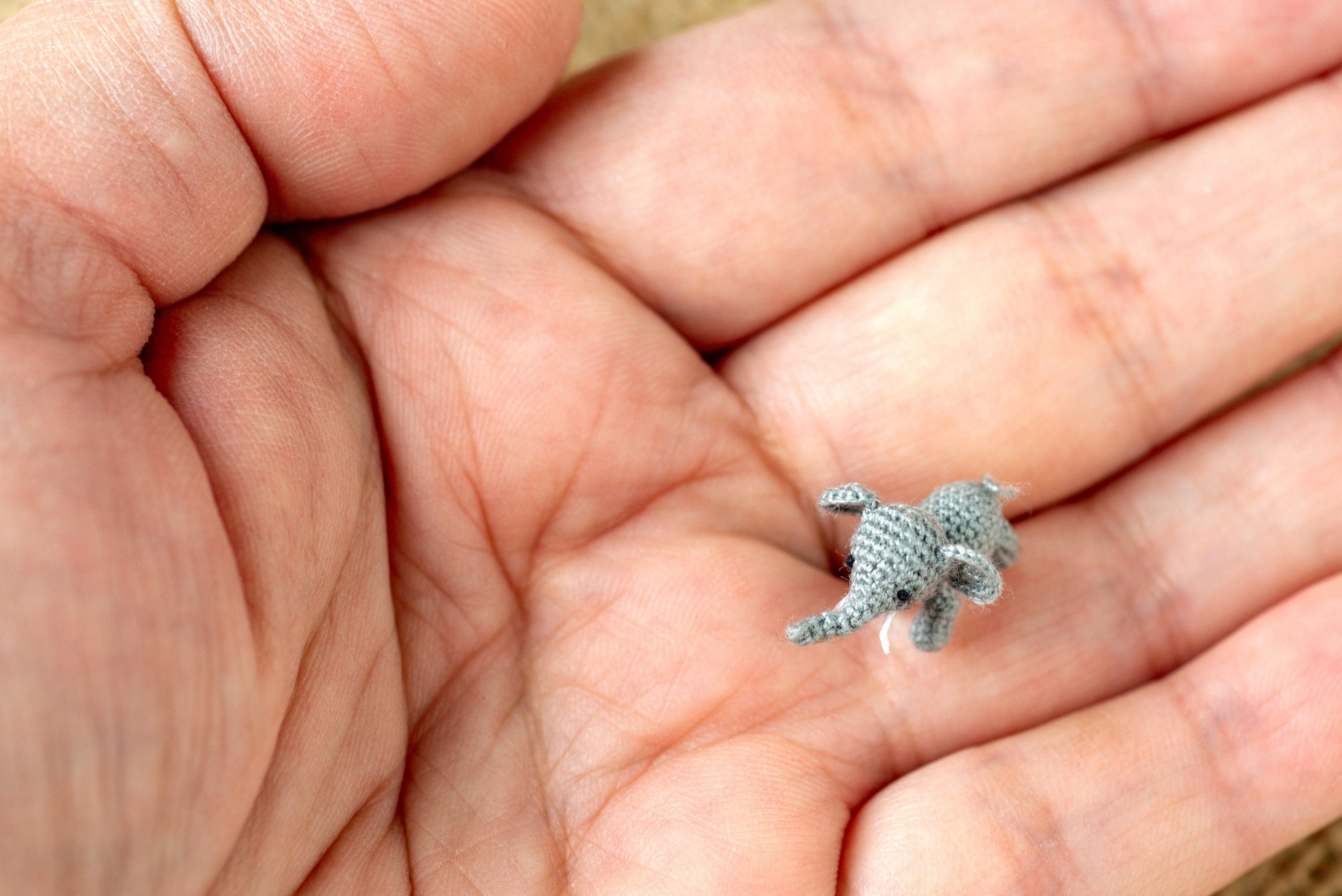 Delicate grey elephant toy with big ears