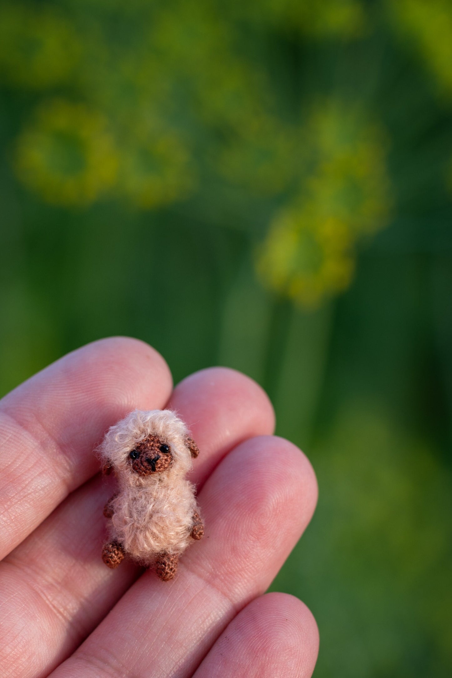 Fluffy amigurumi sheep on green background