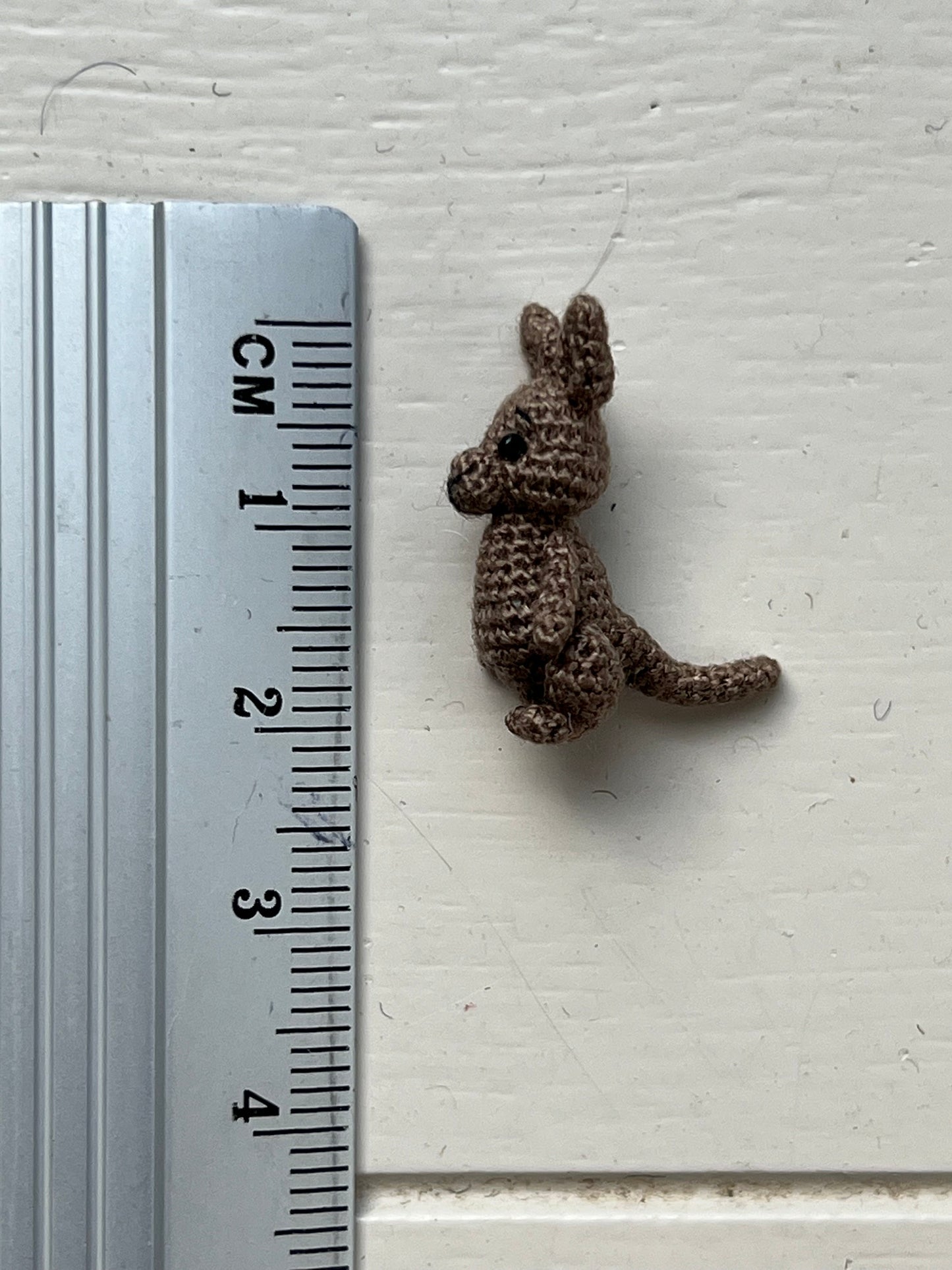 Miniature realistic Kangaroo