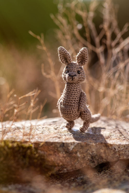  Tiny crochet kangaroo standing on a rock in sunlight