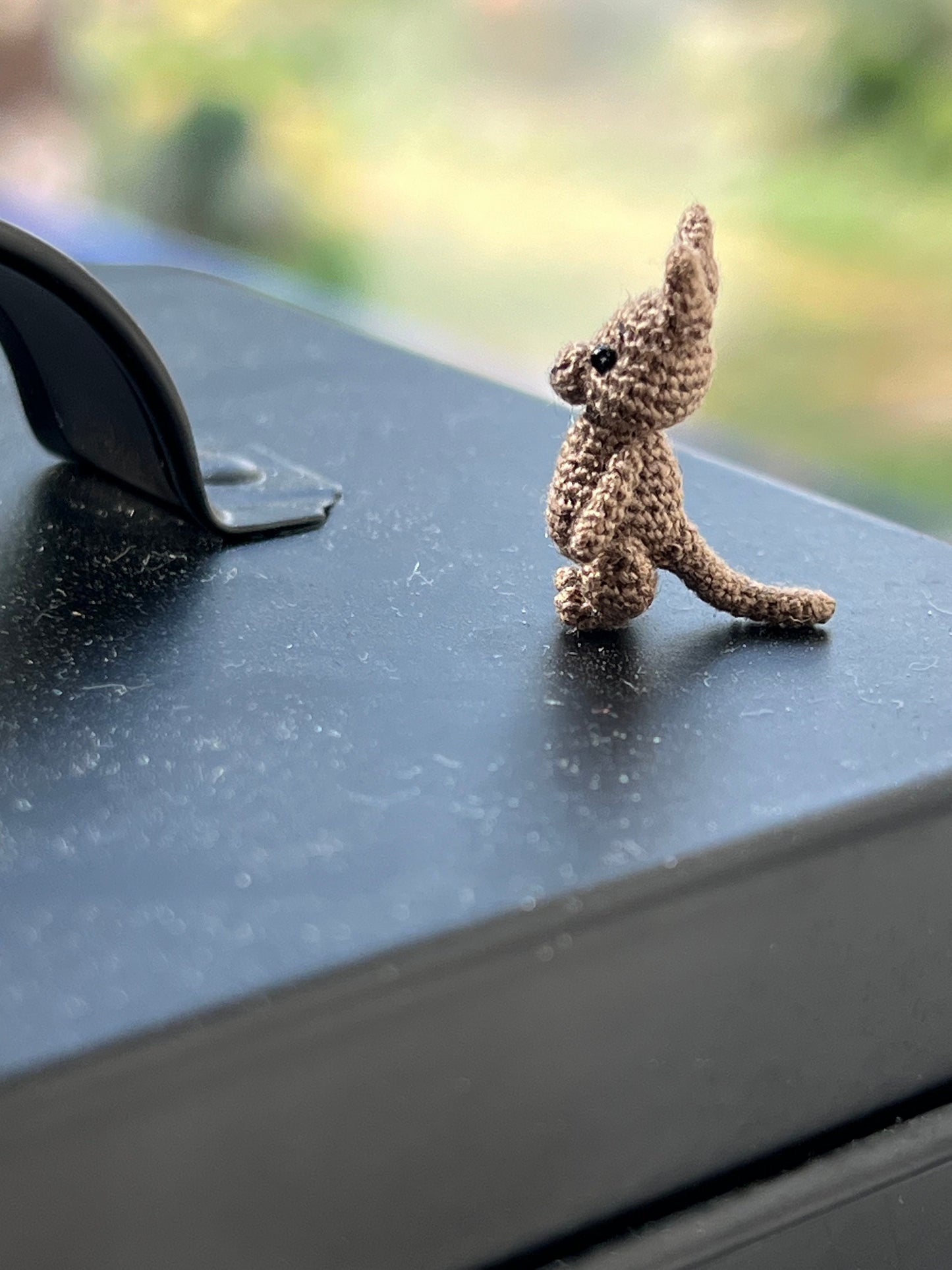 Miniature realistic Kangaroo