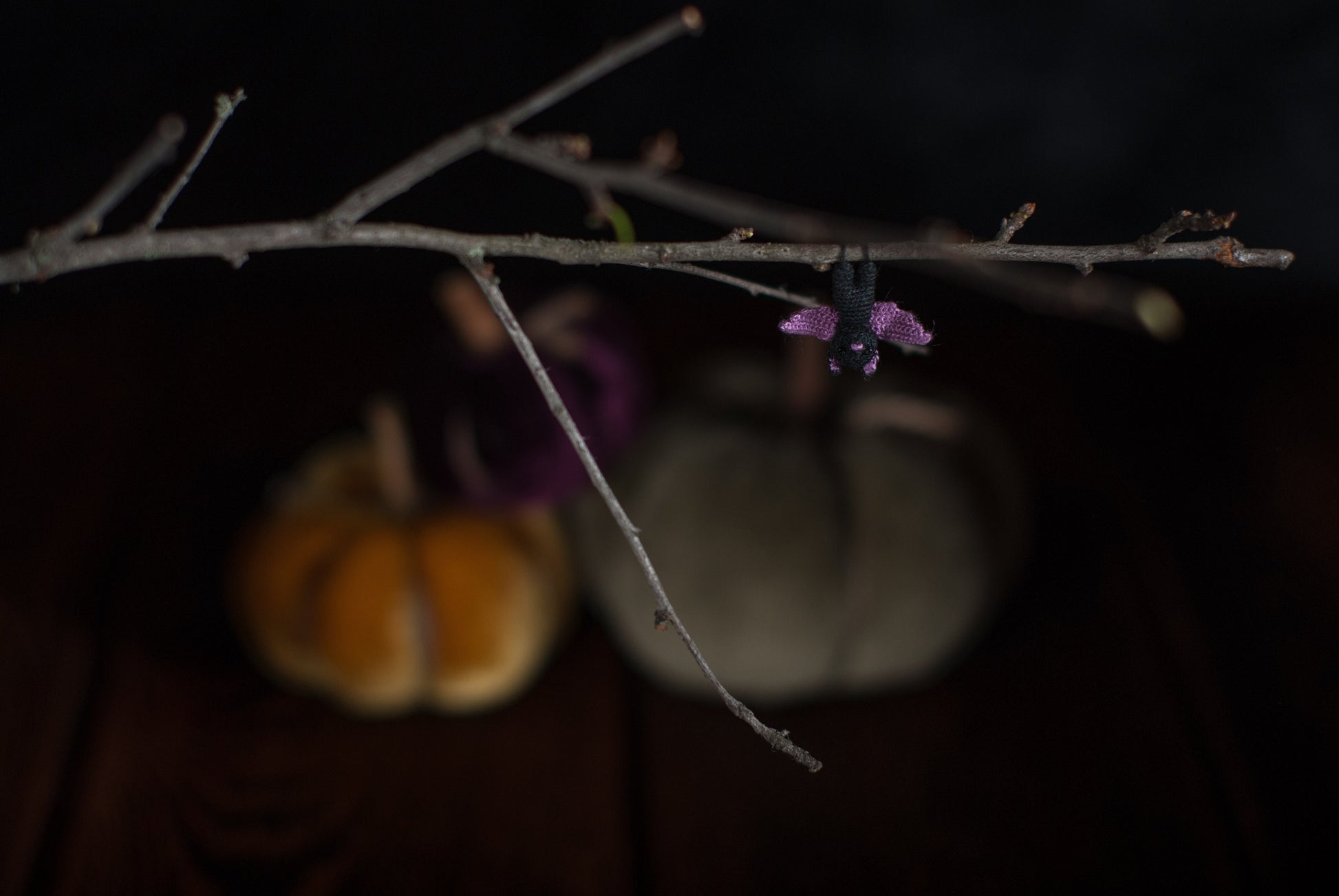 Close-up of handmade miniature bat with purple wings and dark background