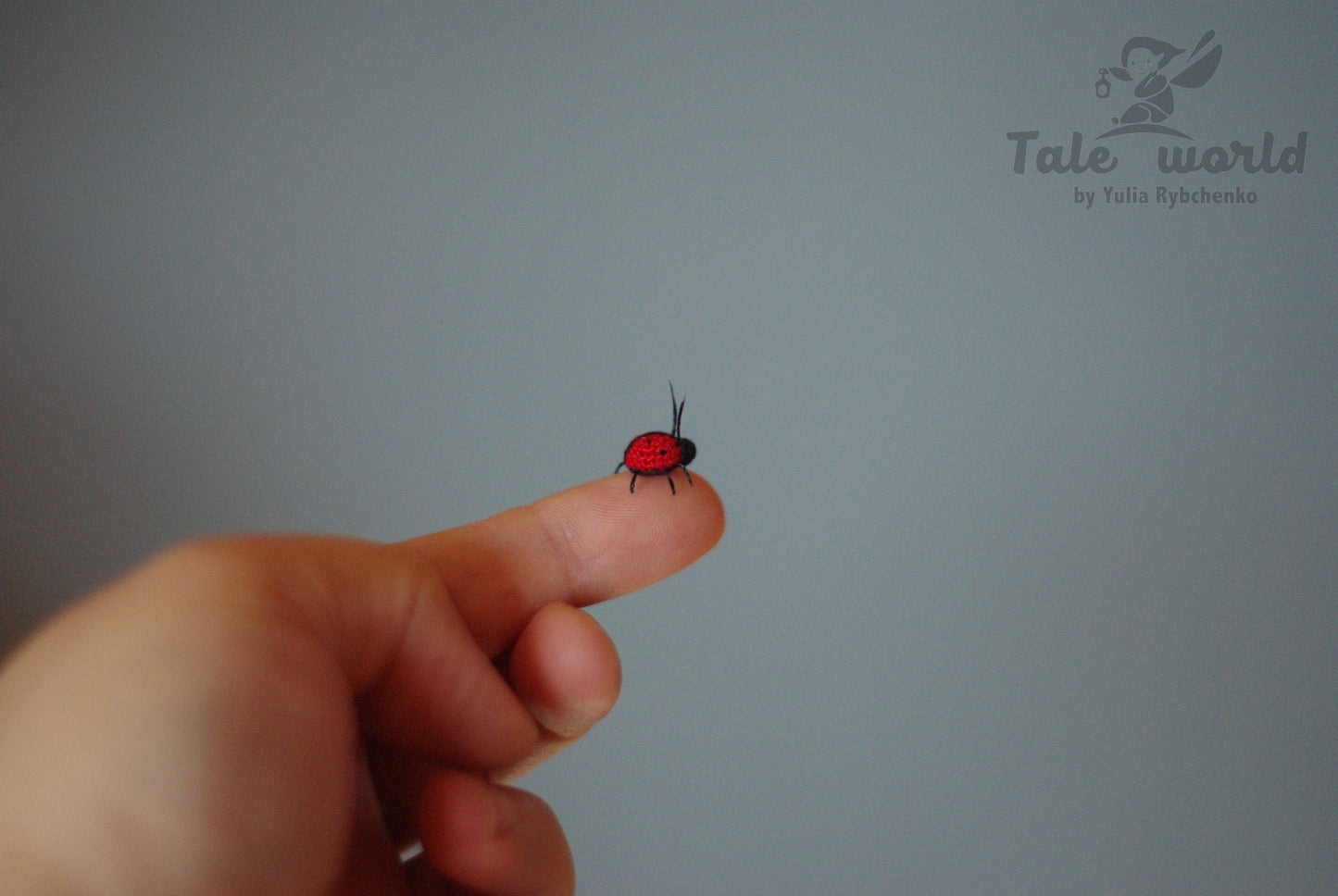 Small red ladybug on a finger