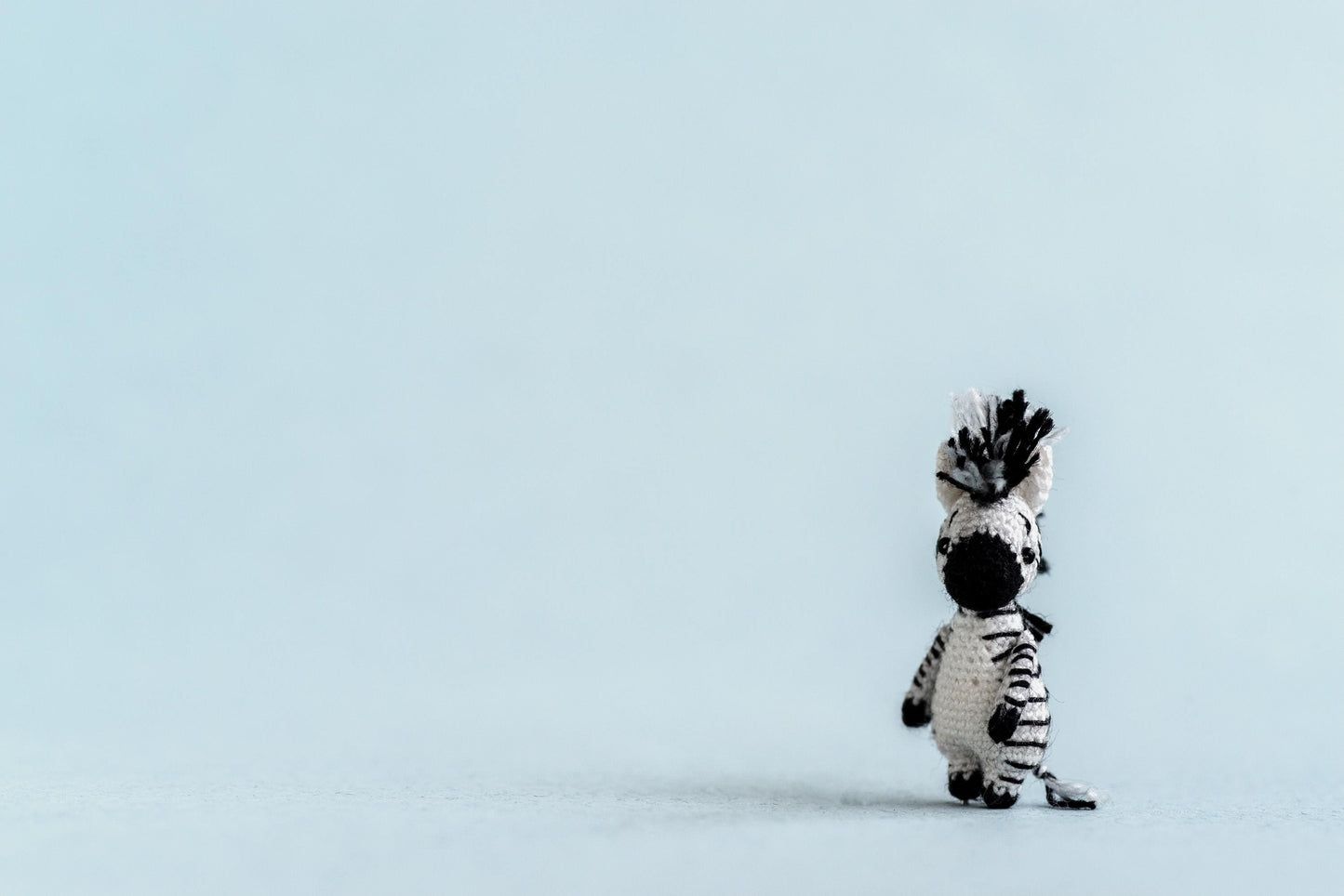 Tiny crochet zebra standing upright on soft blue background
