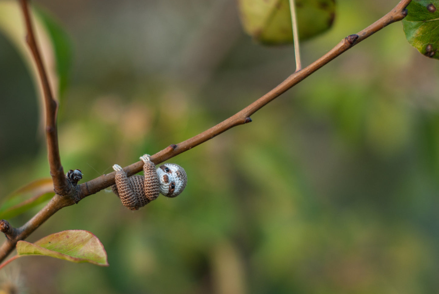 Amigurumi sloth clinging to twig, photographed in nature