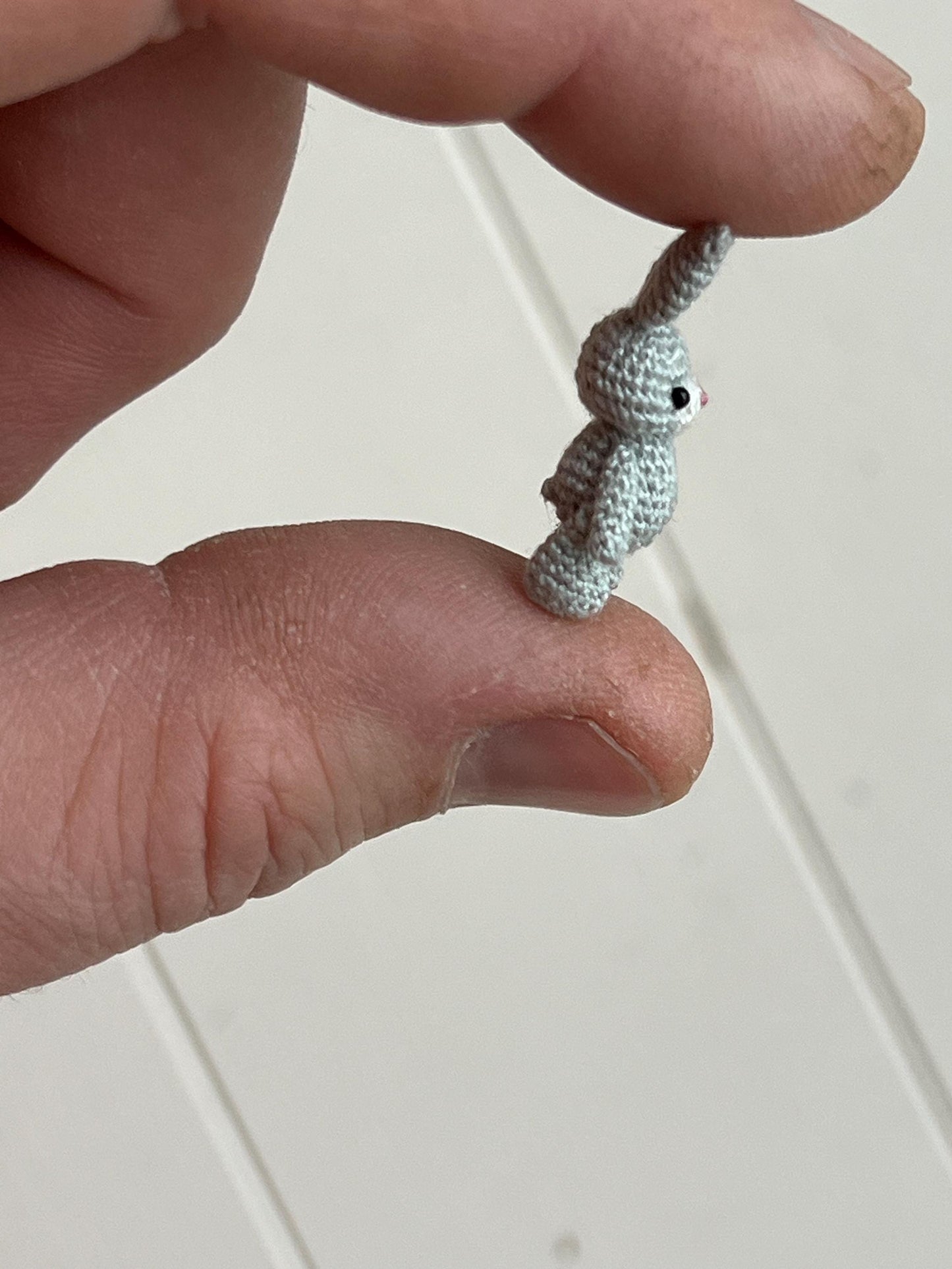 Miniature Grey Bunny