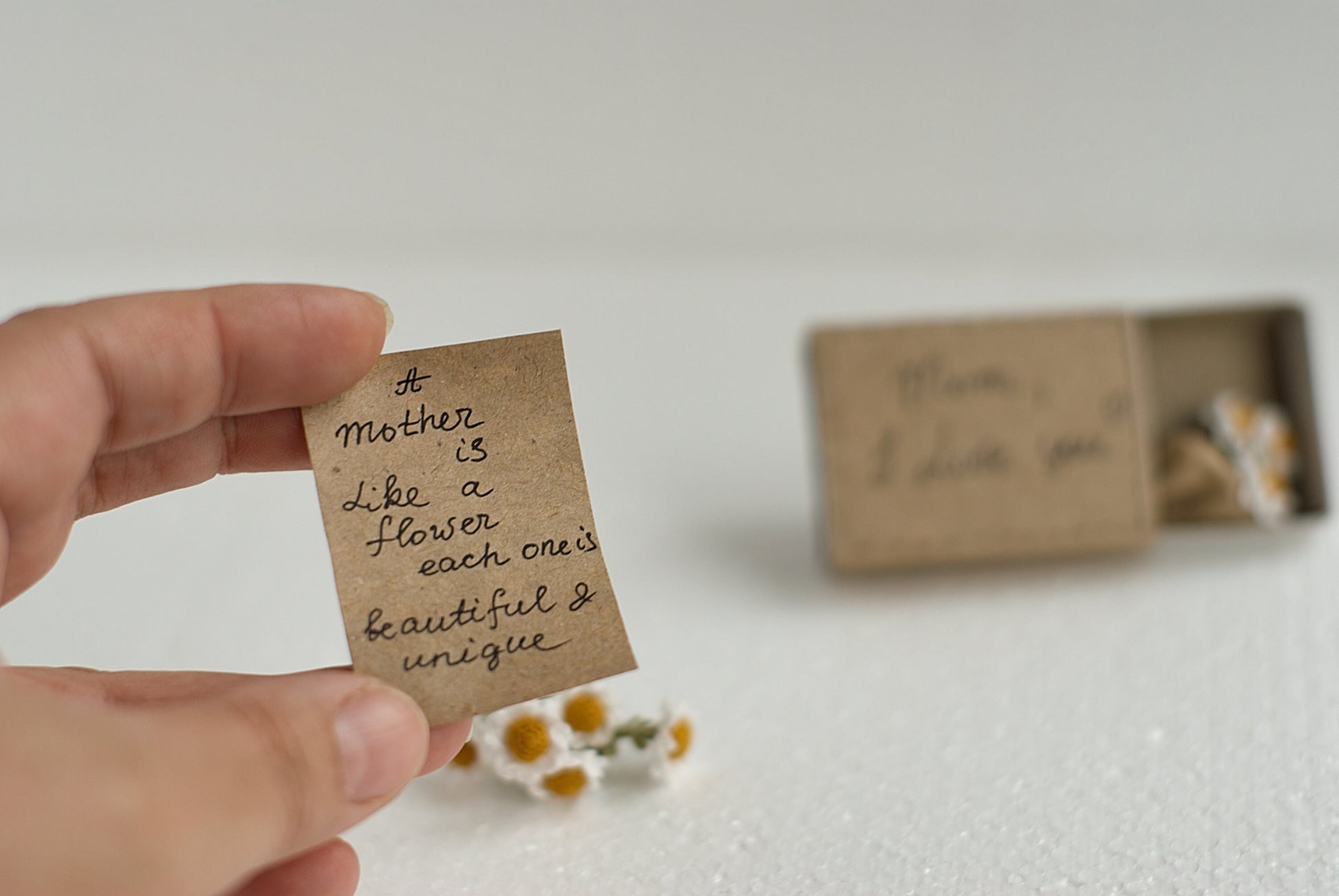 Close-up of tiny flowers and scroll in gift box