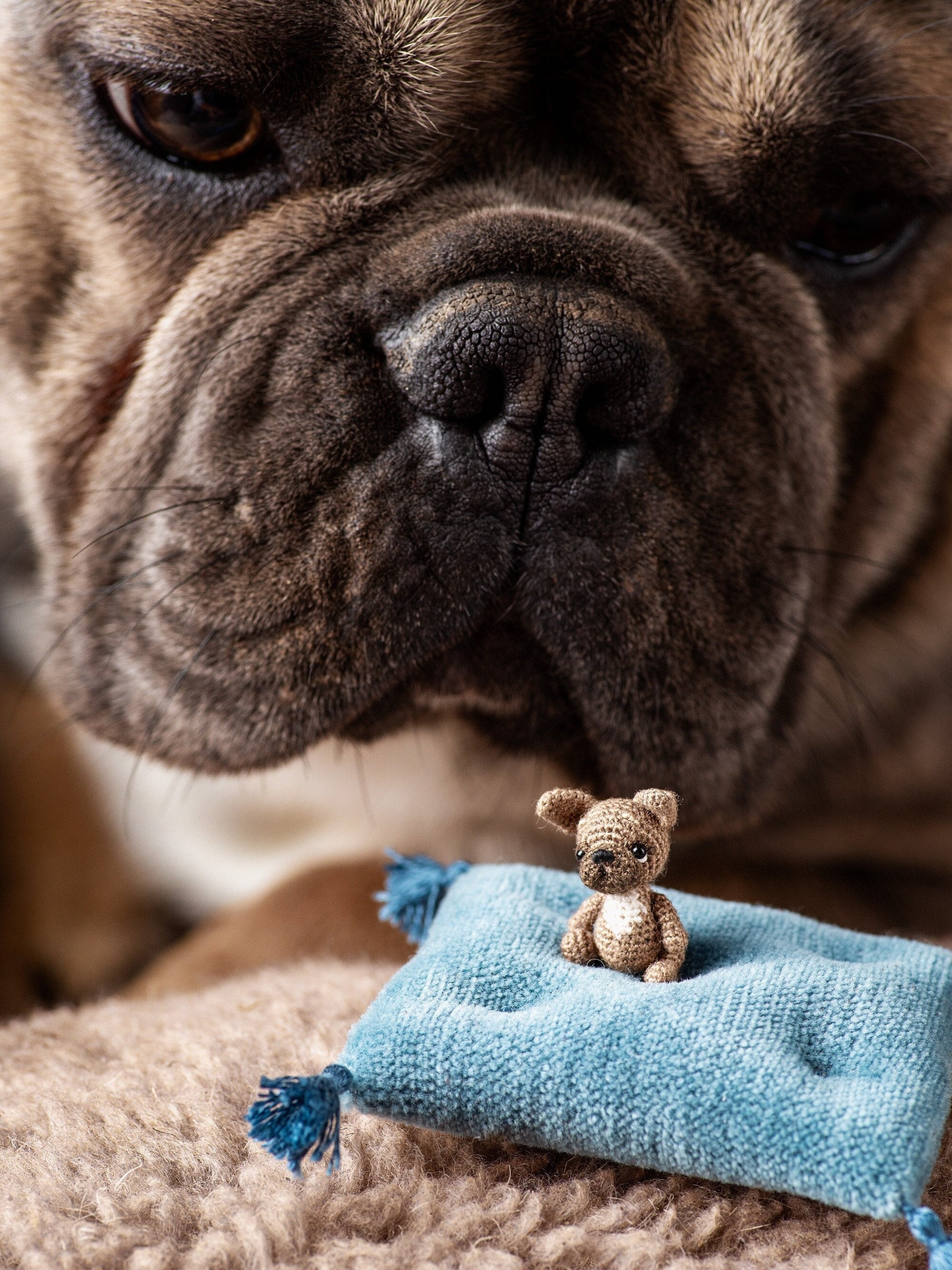  Miniature amigurumi Frenchie dog with safety eyes