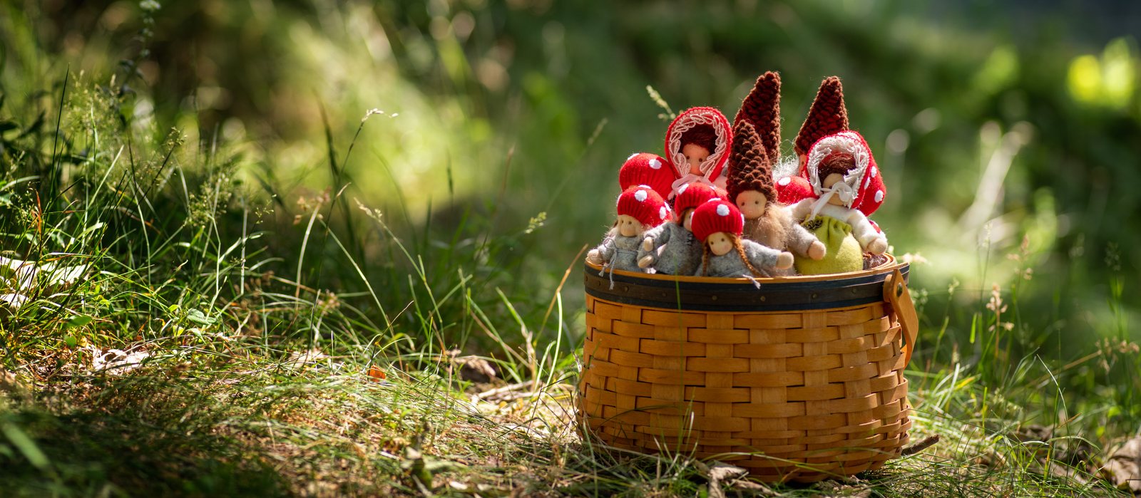 A group of small sewn gnomes in red and white toadstool caps, sitting together in a wicker basket in long grass, with a sunlit forest behind them.